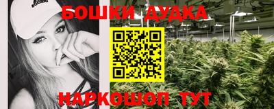 соль ск Будённовск
