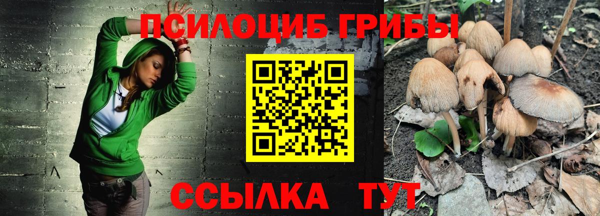 купить наркотик  Псилоцибиновые грибы GOLDEN TEACHER  Вход с VPN  Реутов 